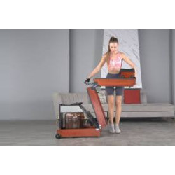 Kingsmith WalkingPad WR1 Salokāms airēšanas trenažieris