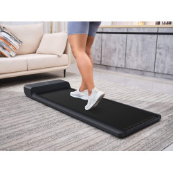 Kingsmith WalkingPad A1 Plus foldable treadmill