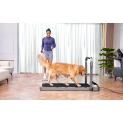 Kingsmith WalkingPad R2 Walk&Run Foldable Treadmill