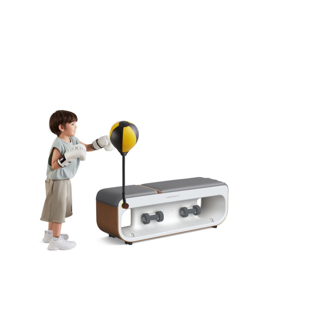 Kingsmith WalkingPad universāls treniņu sols