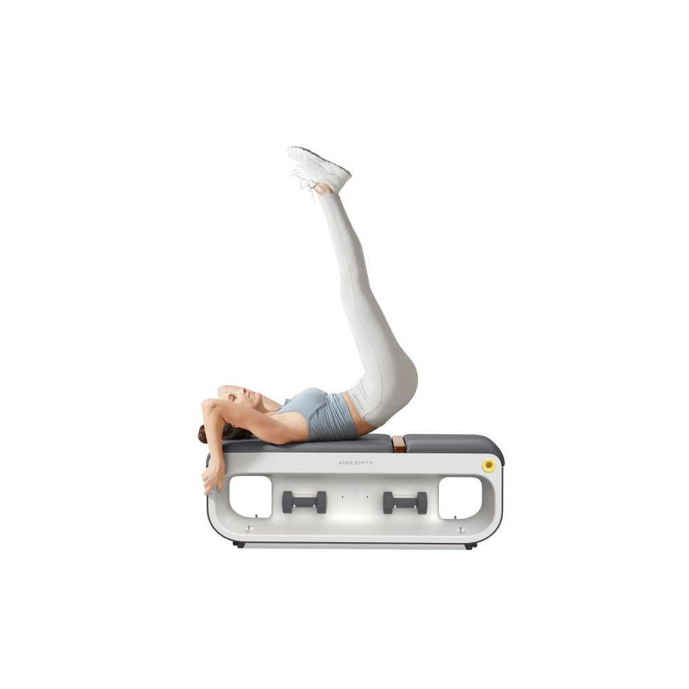 Kingsmith WalkingPad Compact Fitness Bench Premium