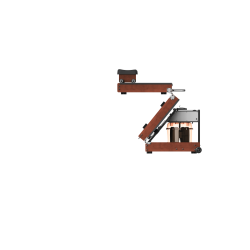 Kingsmith WalkingPad Rowing Machine WM10 - Red oak color